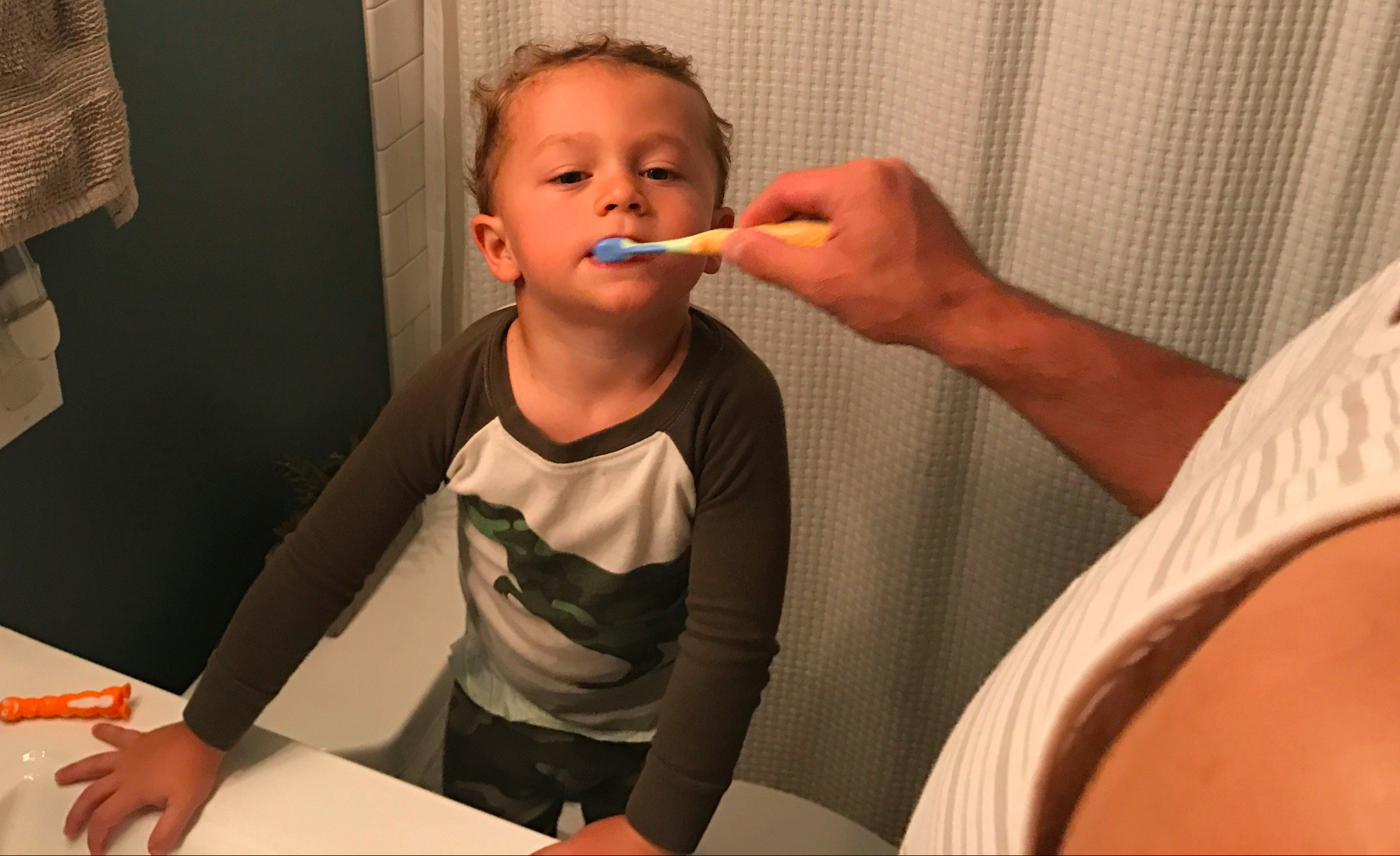 Good Brushing Habits