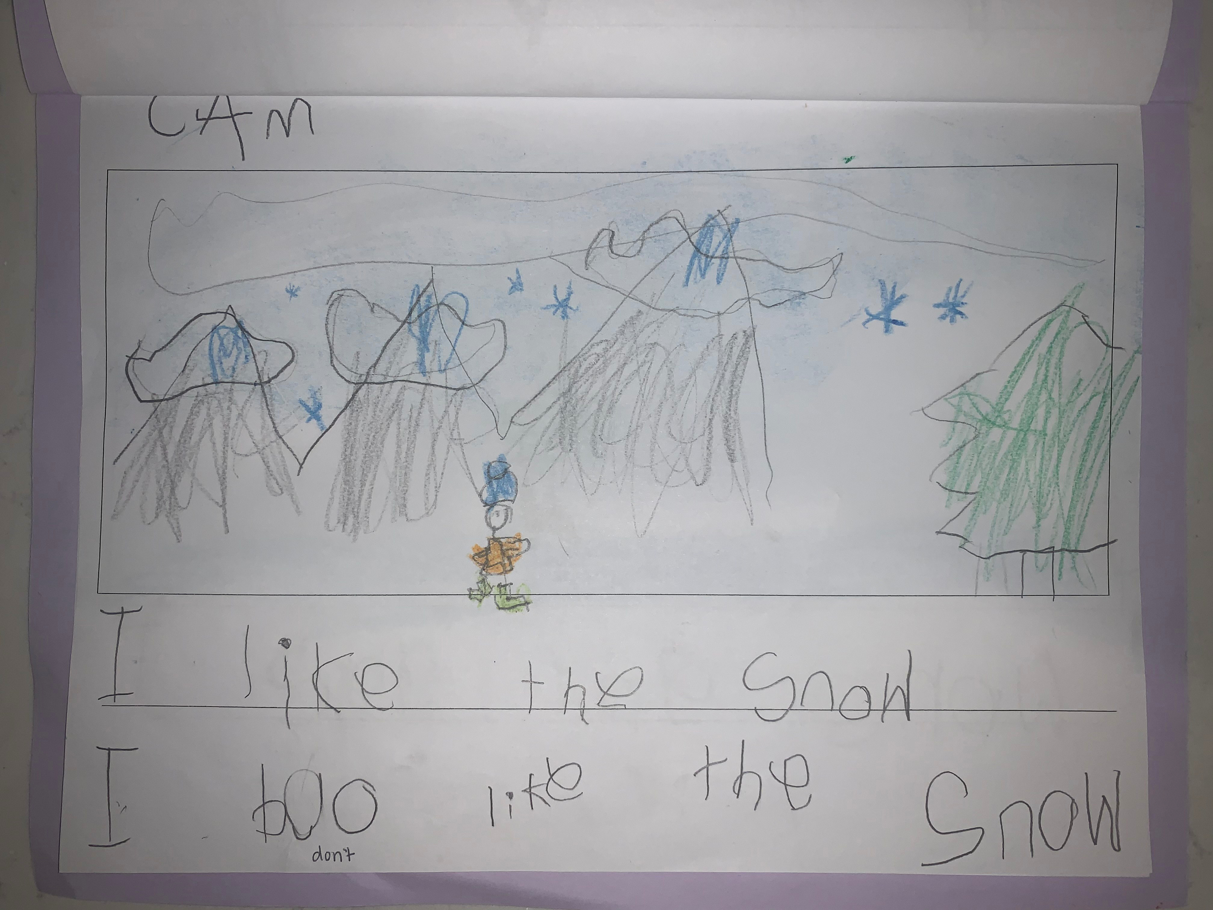 Cam's writing journal